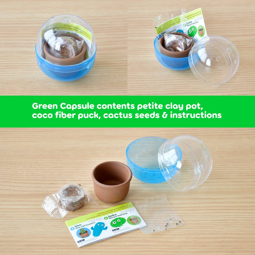 Green Capsule Cacti Cuties - Assorted 4 Styles