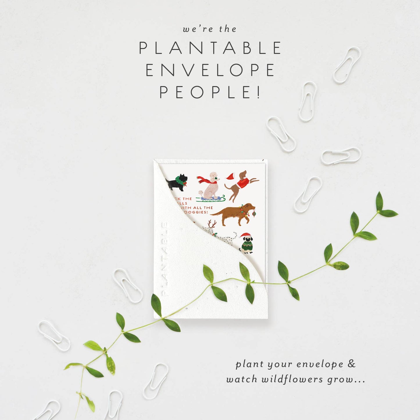 12 Dogs of Christmas - Holiday Mini Card