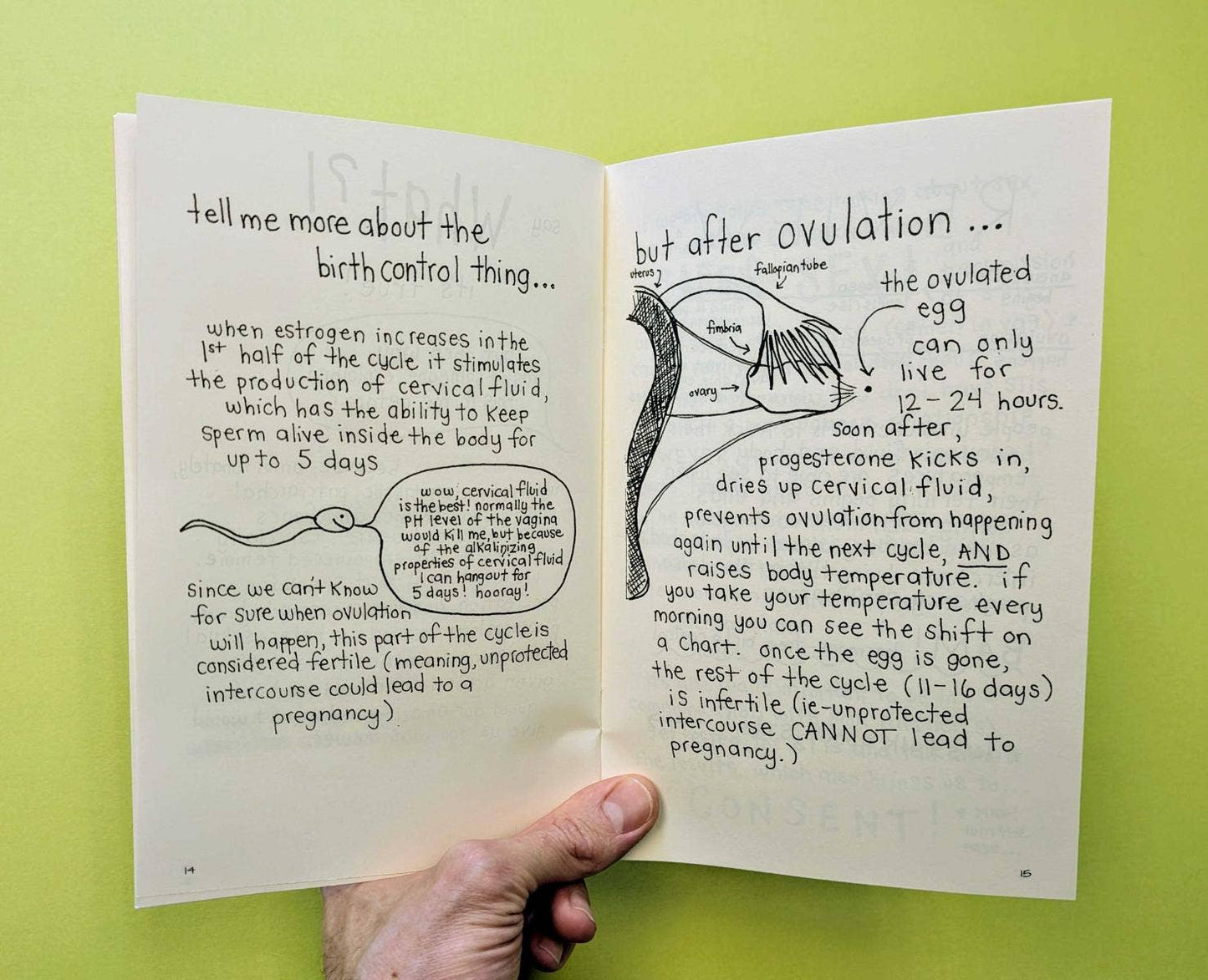 Let's Talk About Your Uterus (Zine)