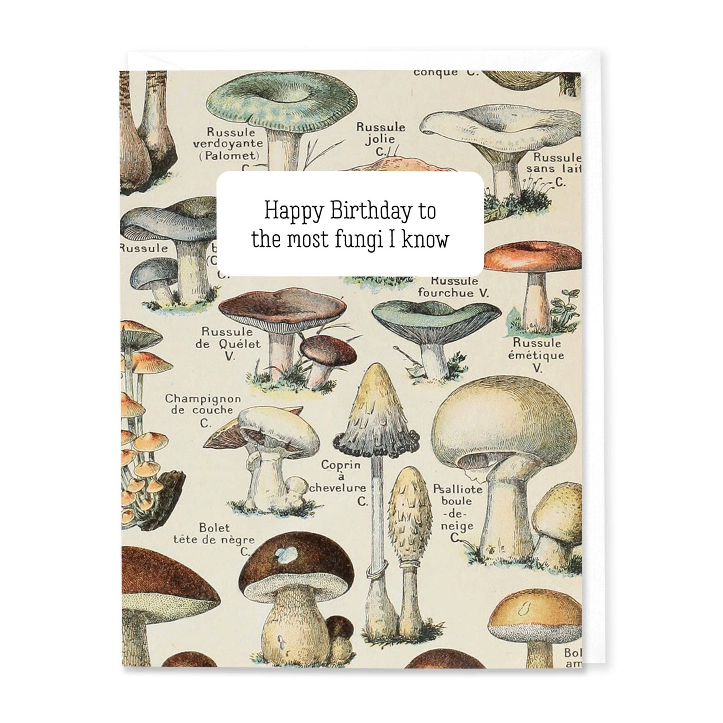 Most Fungi I Know Birthday Card