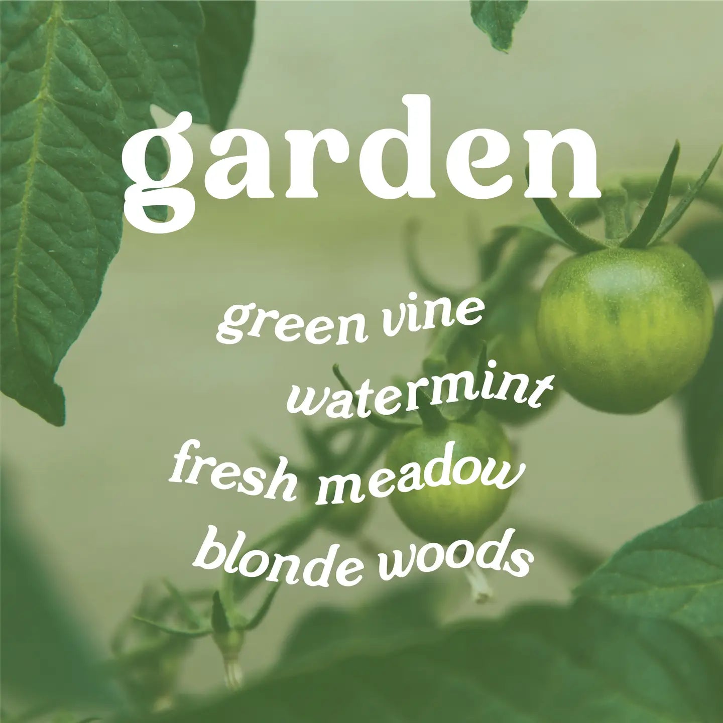 Garden 9 oz. Hue Candle (Tomato Vine)