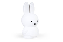 Load image into Gallery viewer, Atelier Pierre Miffy Coin Bank (Large)

