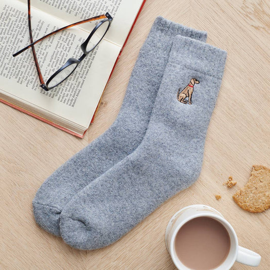 Dog Walking Socks - Vizsla