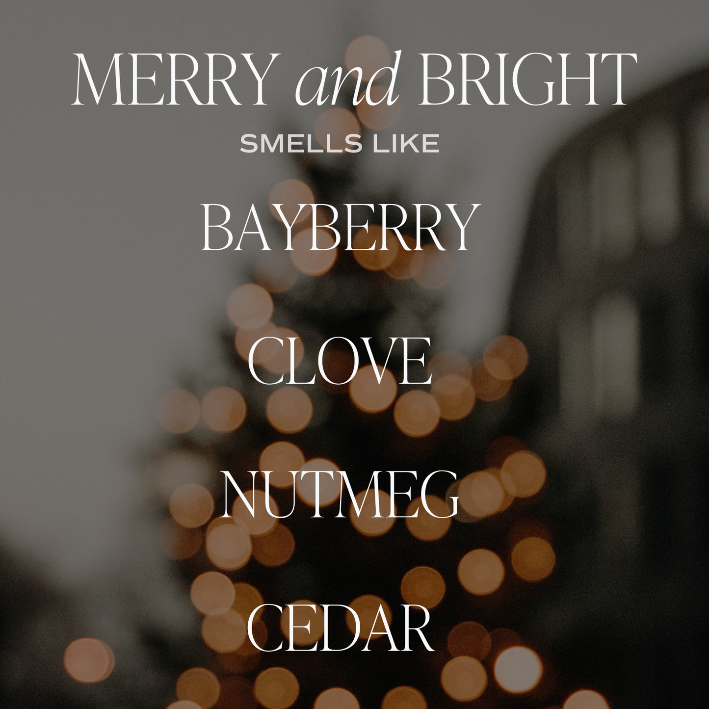 Merry and Bright 9 oz Soy Candle - Christmas Decor & Gifts