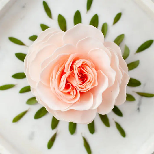 Serendipity Bathing Petal Soap Flo