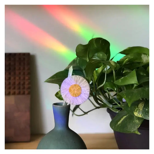 Enjoy Today - Rainbow Maker - Suncatcher Decal