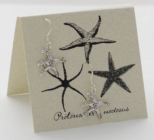 Starfish Earrings - Sterling Silver Natural History - Front & Company: Gift Store