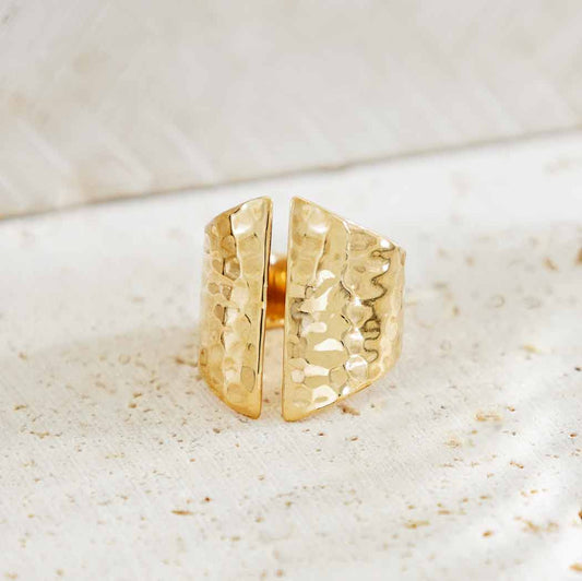Sterling Silver or Bronze Adjustable Hammered Shield Ring