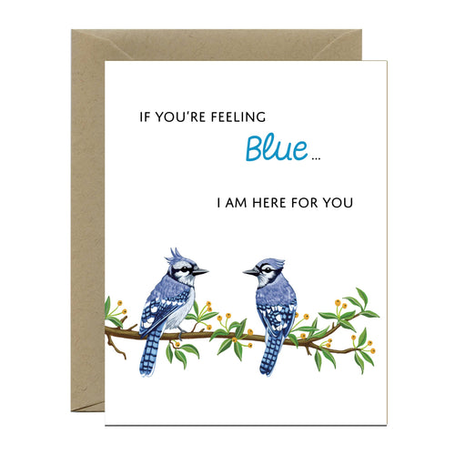 Blue Jay Bird Sympathy Card - Front & Company: Gift Store