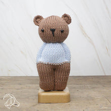 Load image into Gallery viewer, DIY Knitting Kit - Abe Bear
