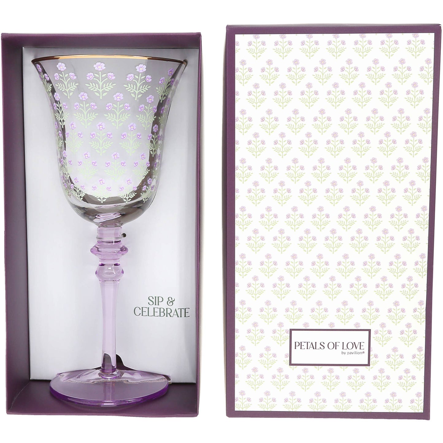 Sip & Celebrate - Gift Boxed 11 oz Wine Glass