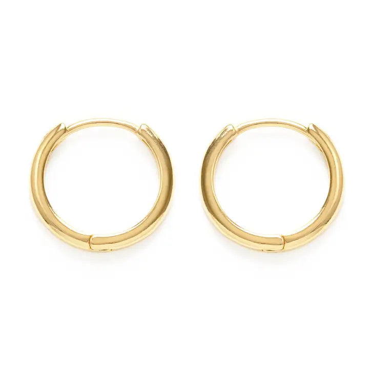 Small Gold Hoops