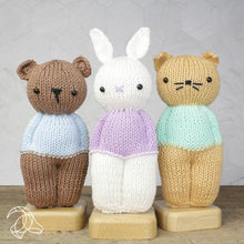 Load image into Gallery viewer, DIY Knitting Kit - Abe Bear
