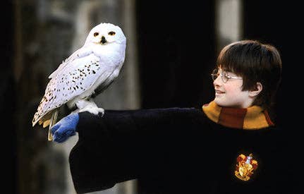 Harry Potter: The Postcard Collection