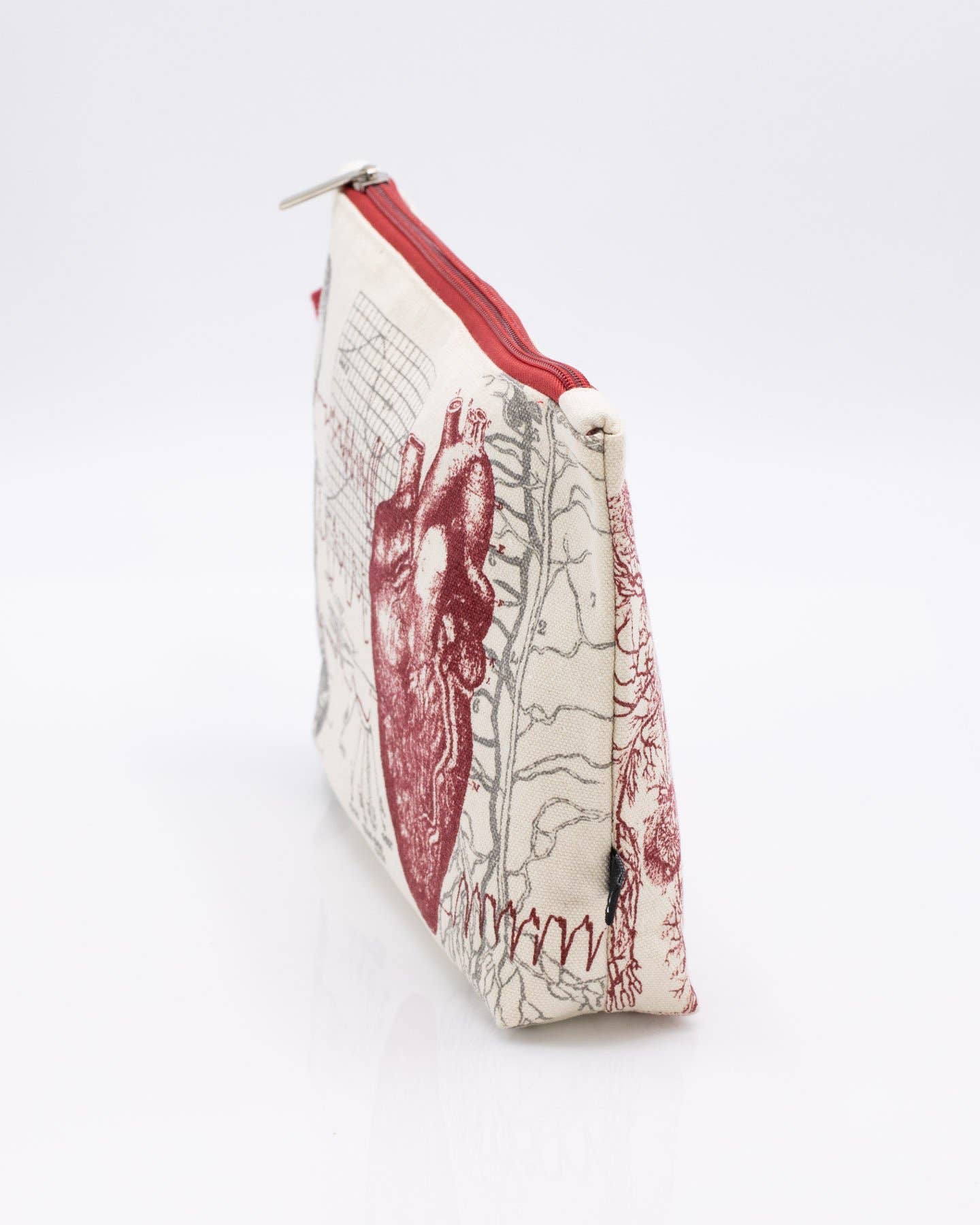 Anatomical Heart Pencil  Case