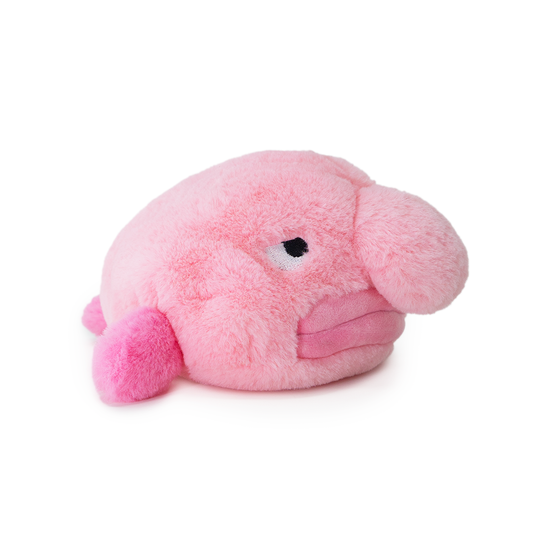Side-eye Blobfish