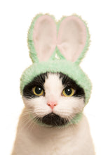 Load image into Gallery viewer, Kitan Club Cat Cap Blind Box - Rabbit
