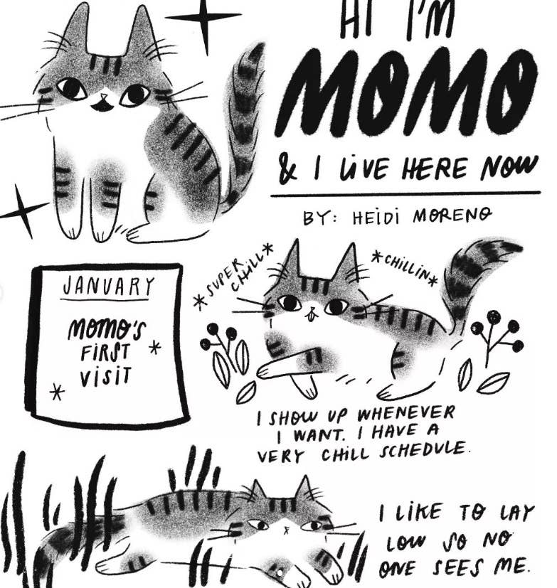 Cat Party Zine #8: Love & Loss