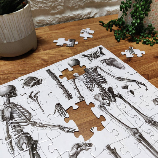 100 Piece Jigsaw - Skeleton