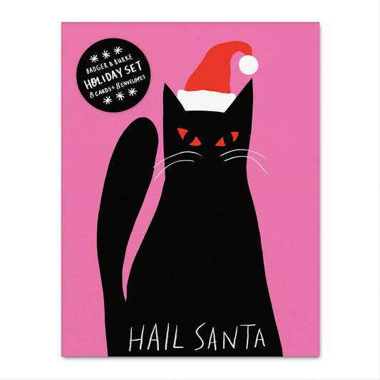 Hail Santa - Christmas Greeting Card Set