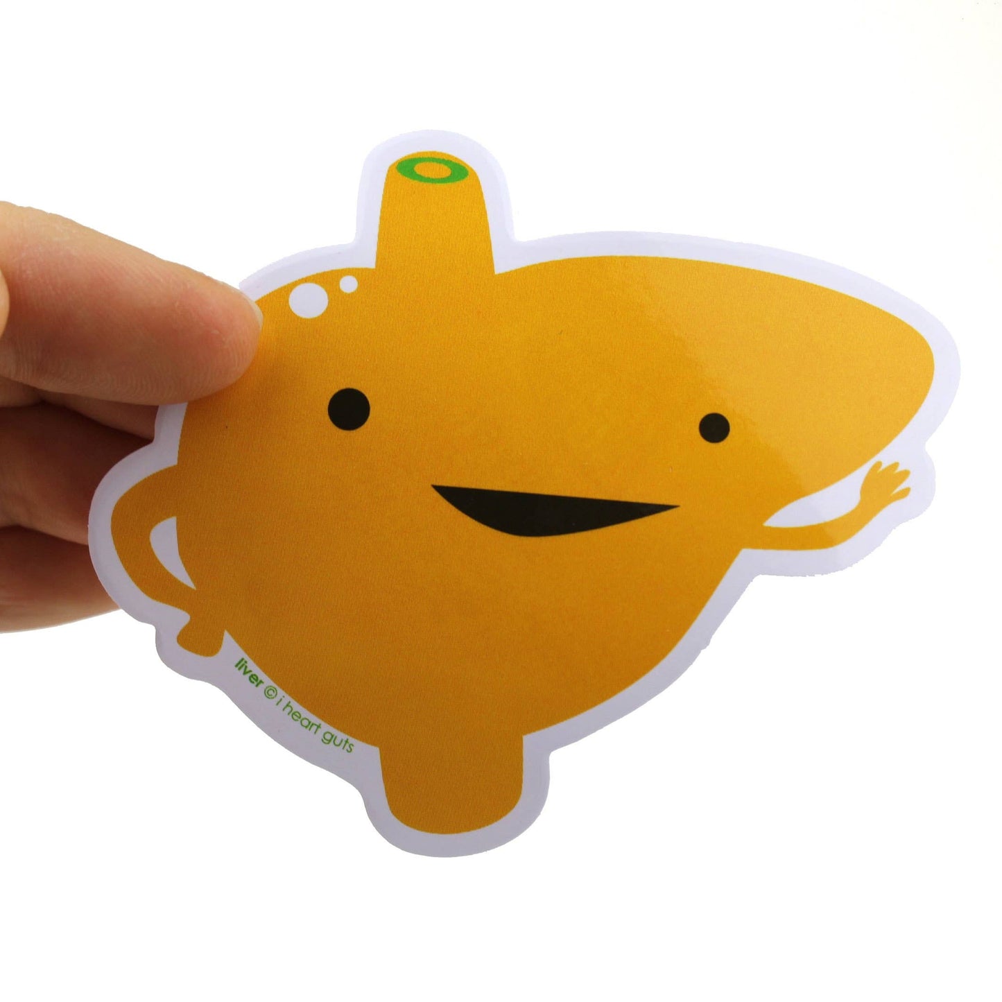 Giant Guts Sticker Set - 15 Organs and Friends