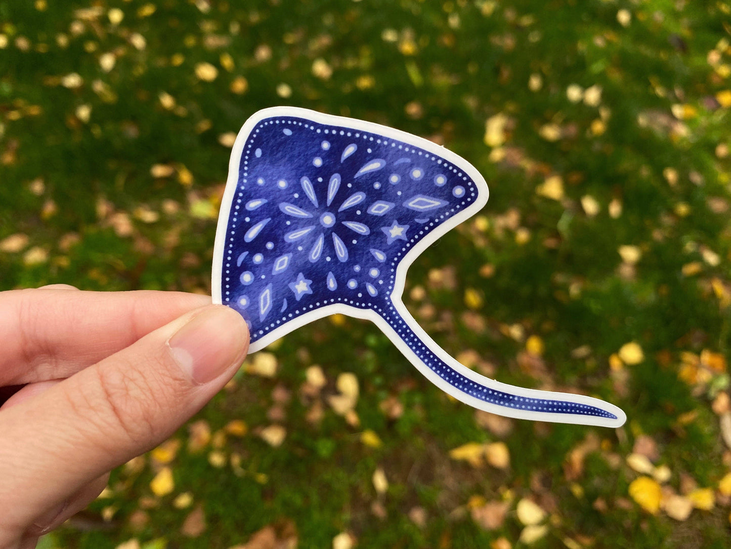 Manta Ray Clear Vinyl Sticker