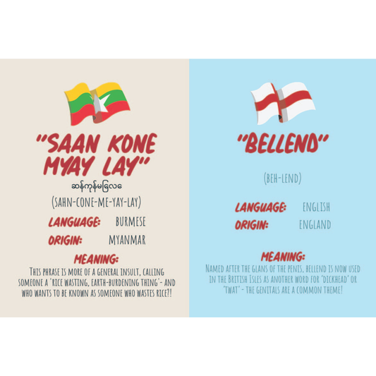 How To Swear in 96 Languages Humor Gift Books - Father's Day