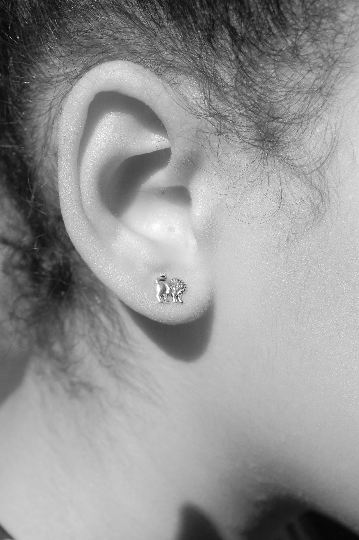 Lion Stud Earrings sterling silver Natural History