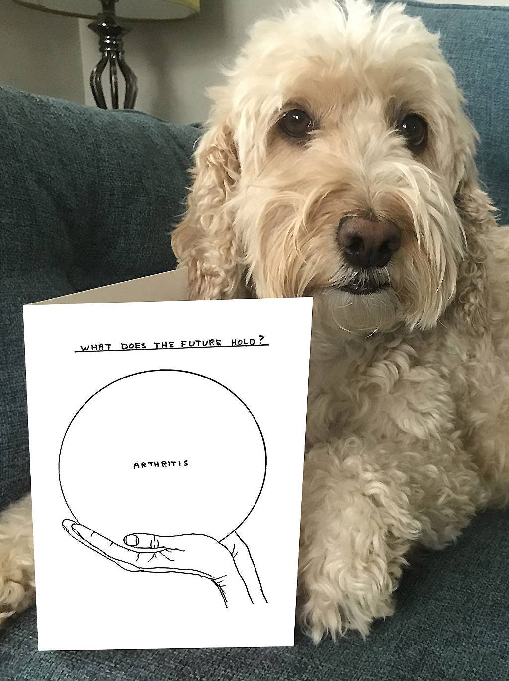 Funny Greetings Card By David Shrigley - Arthritis Funny