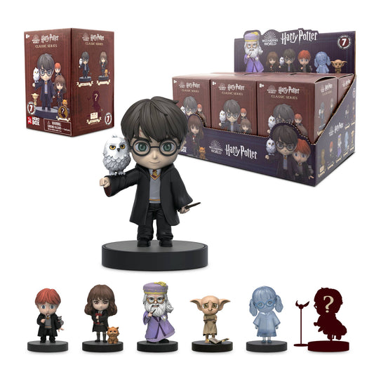 Wizarding World Harry Potter Hero Box - Blind Box