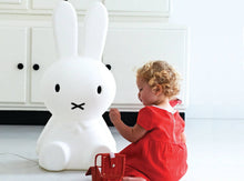 Load image into Gallery viewer, Miffy
