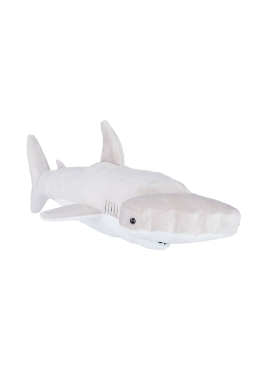 Hammerhead Shark