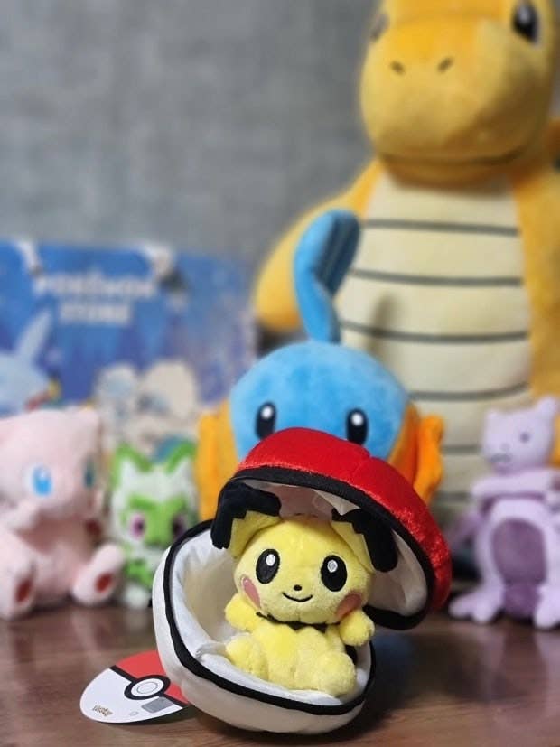 Pokemon Poké Ball Plush Pouch + Random Keychain 8cm SET