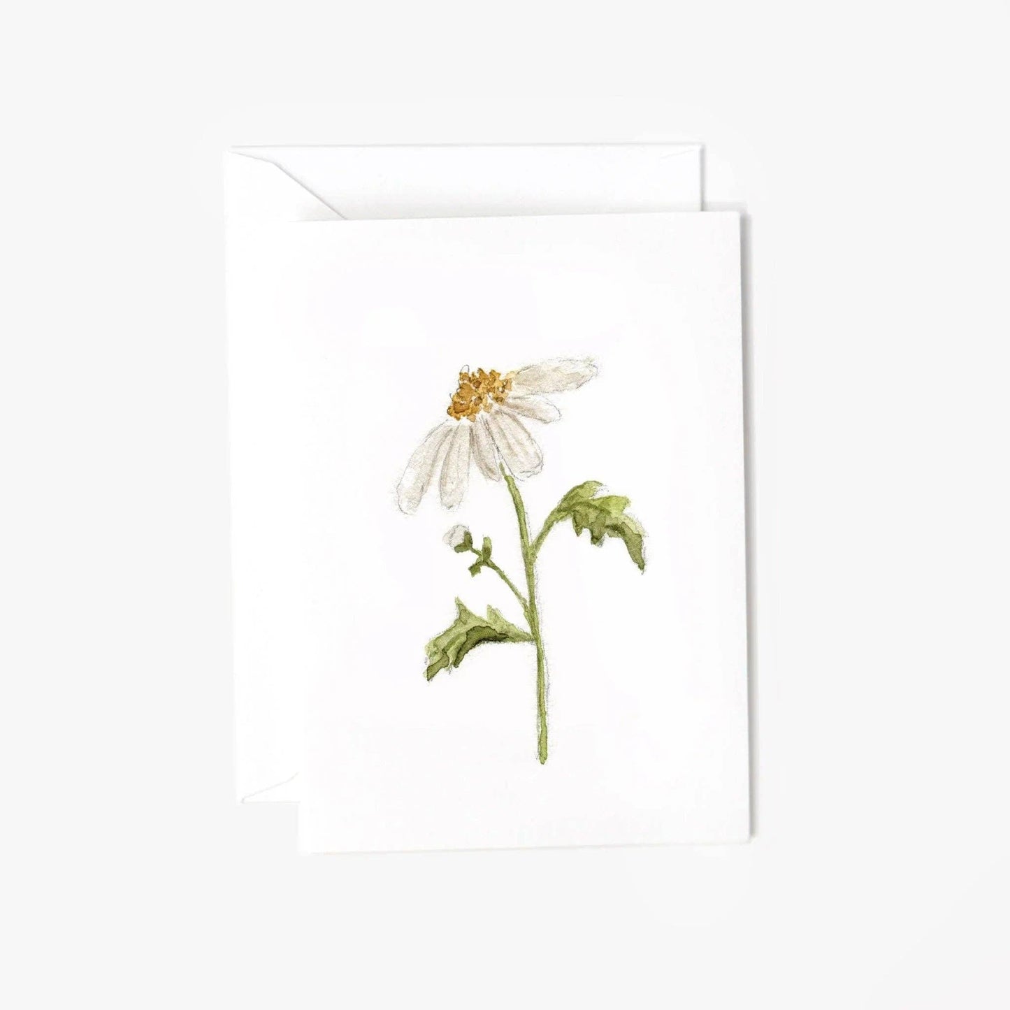 Daisy mini enclosure notecard
