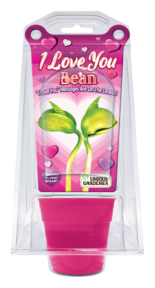 I Love You Bean Terrarium
