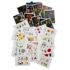 The Art Of Instruction Asst Postcards