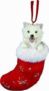 American Eskimo Orn