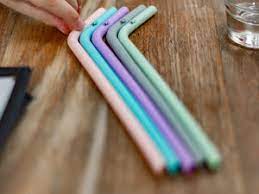 Silicon Drinking Pastel Straws