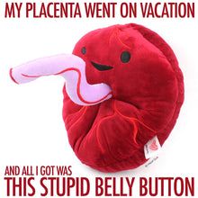 Load image into Gallery viewer, Placenta Plush - Baby&#39;s First Roommate
