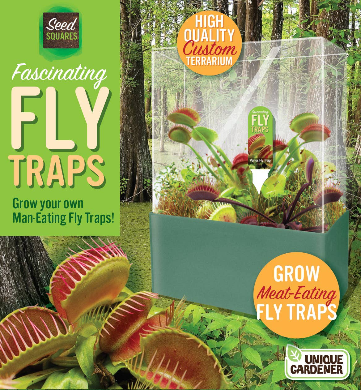Fascinating Flytraps Seed Square Terrarium