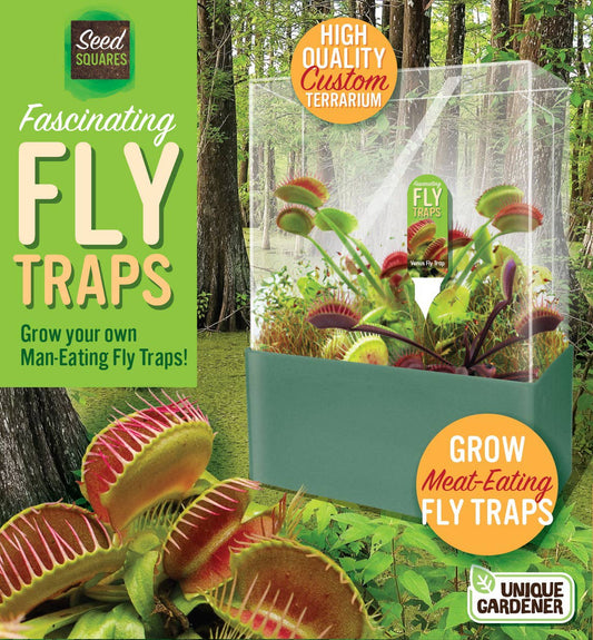 Fascinating Flytraps Seed Square Terrarium