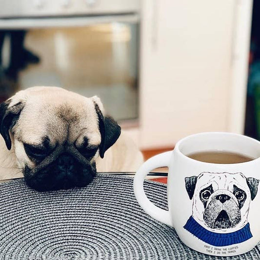 Scrupulous Pug Mug