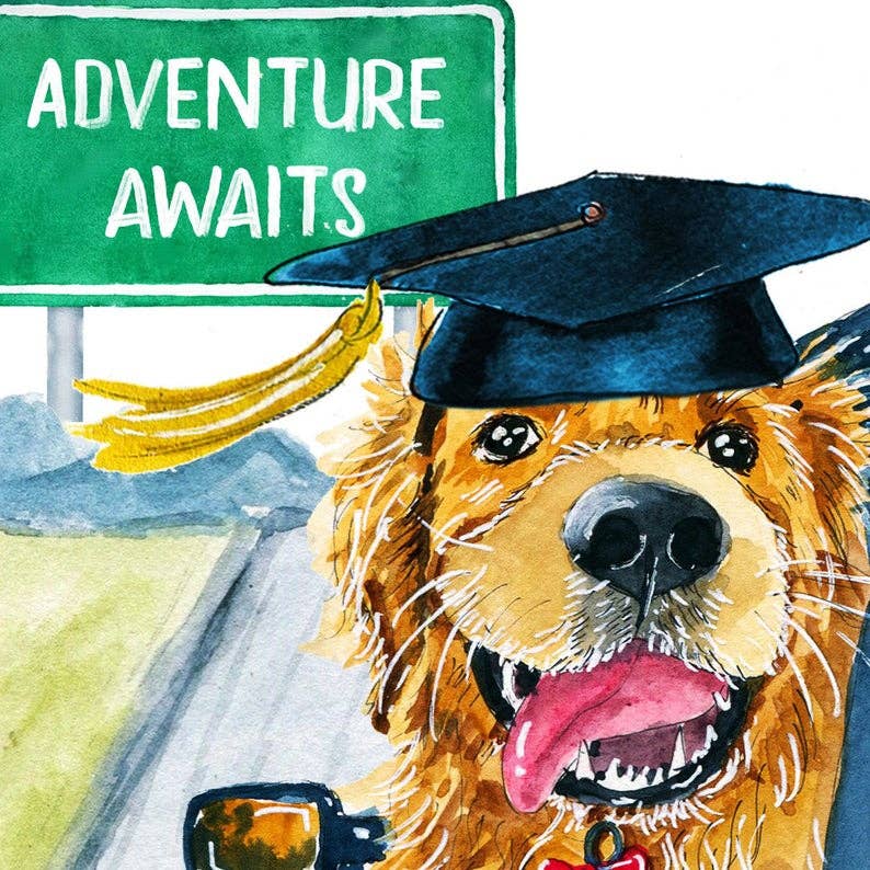 Grad Adventure Begins - Funny Graduation Card