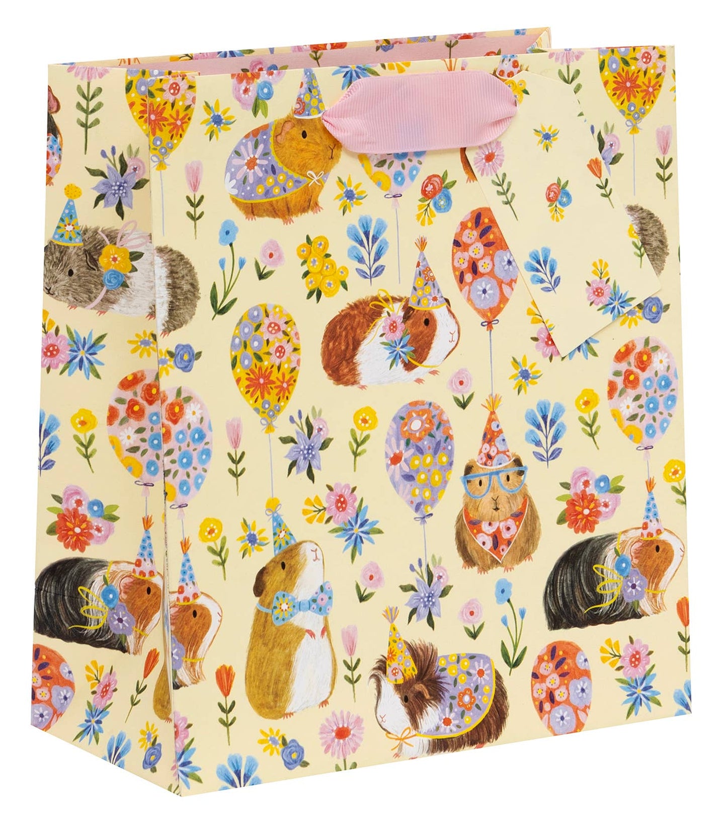 Bag Medium Guinea Pig Party