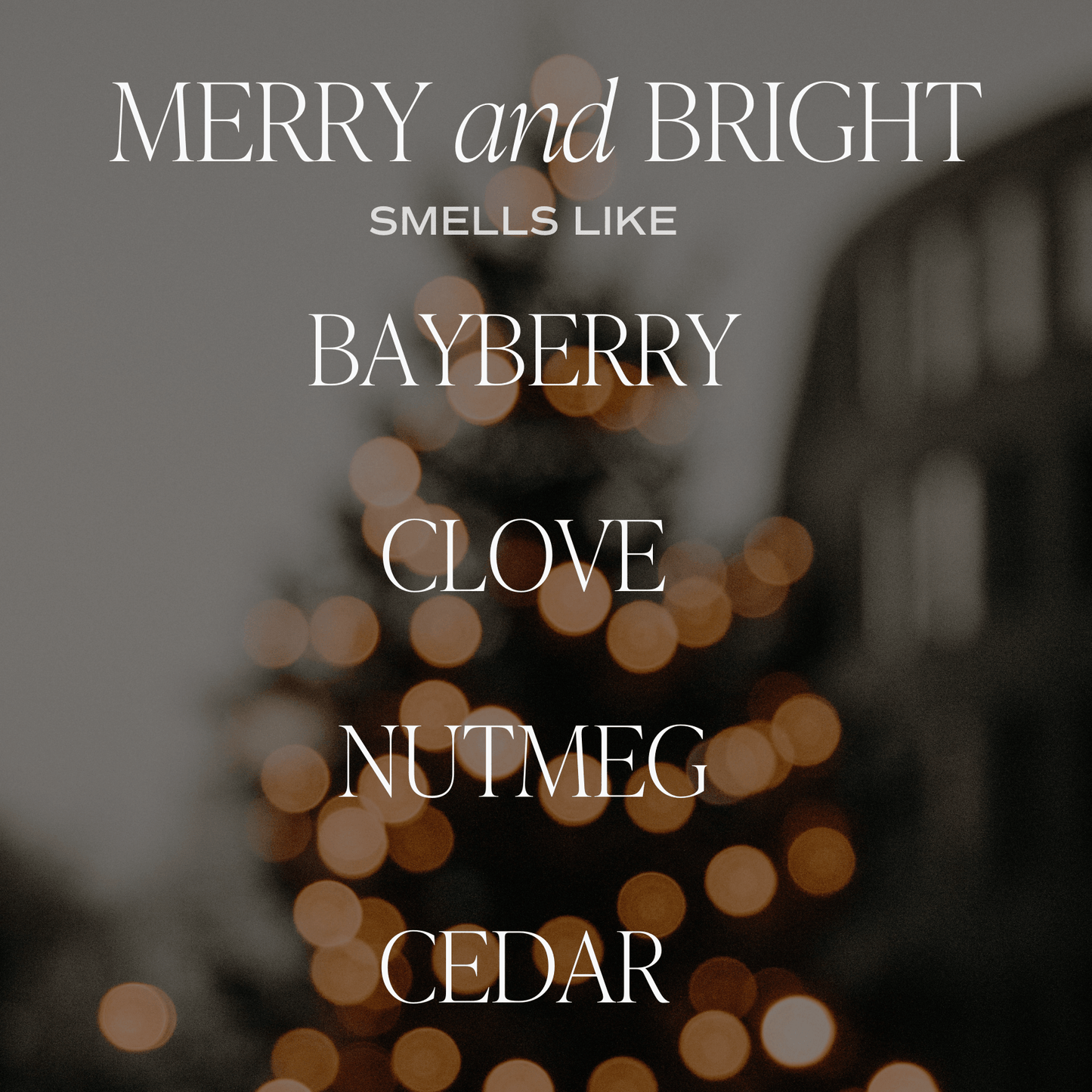*NEW* Merry and Bright 9 oz Soy Candle - Christmas Decor