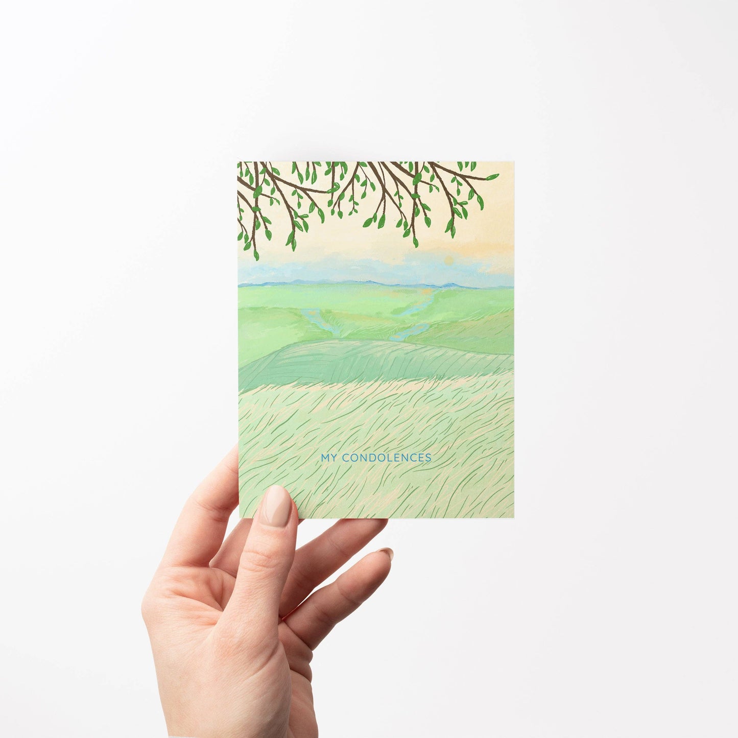 My Condolences Greeting Card