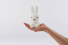 Load image into Gallery viewer, Miffy
