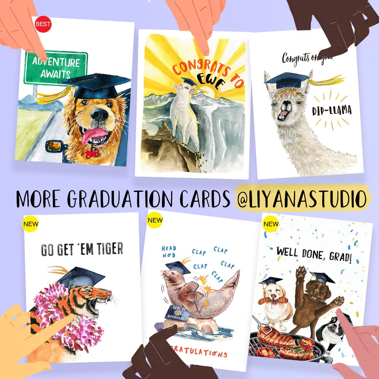 Bear Fish Grad - Funny Graduation Card