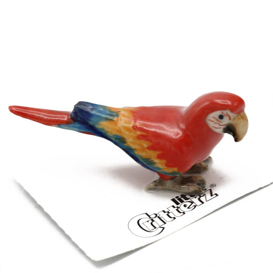 Scarlet Macaw Porcelain Miniature