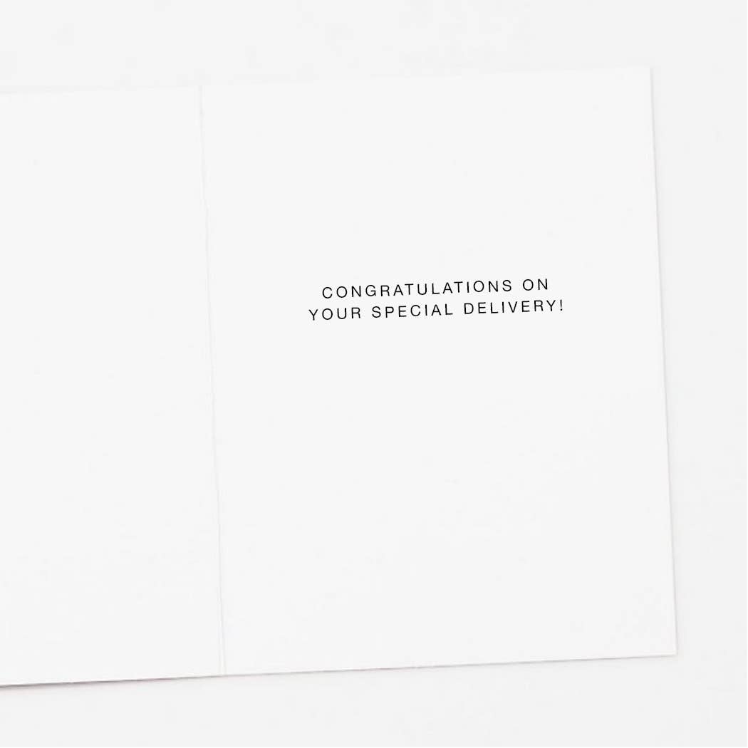 Stork Chick New Baby Card